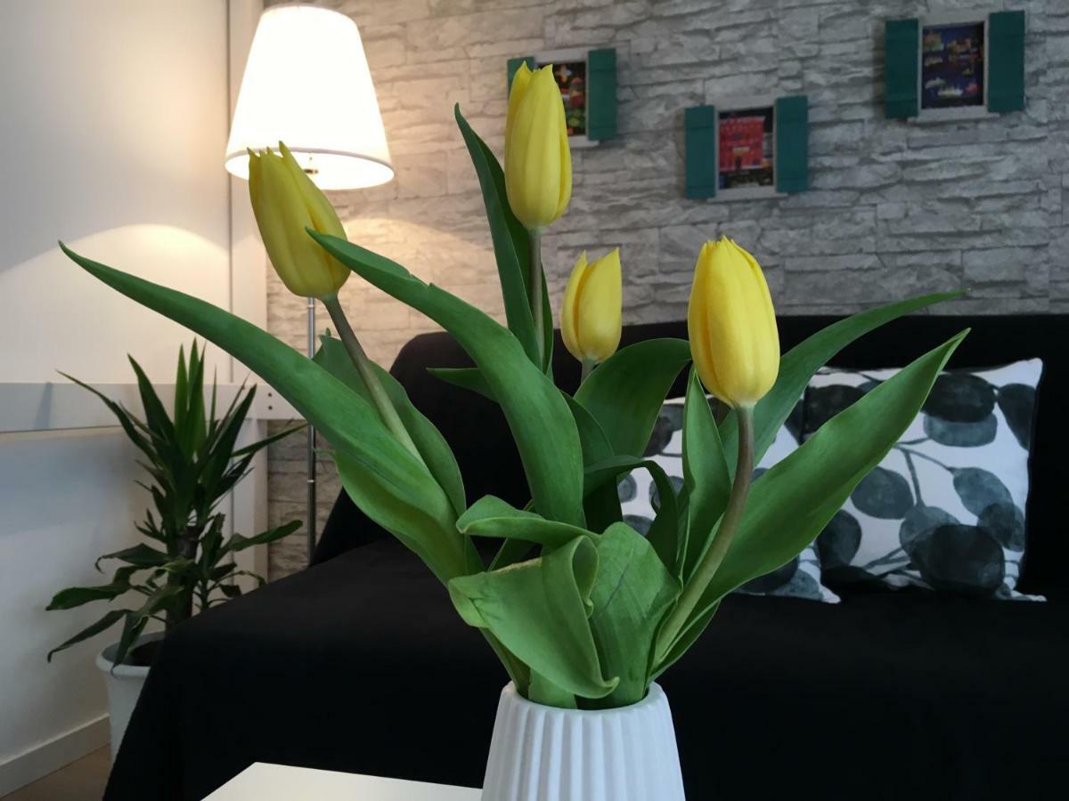 Apartament Luigi *